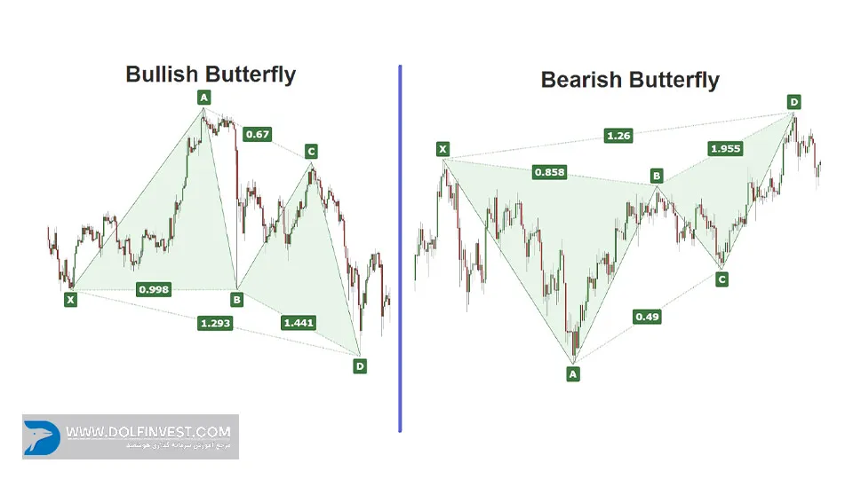 Butterfly Pattern