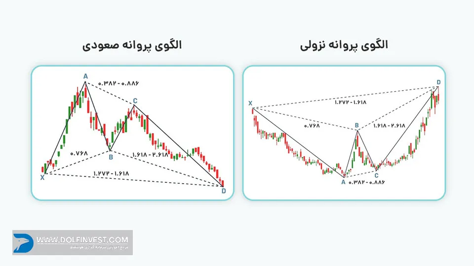 انواع الگوی پروانه هارمونیک